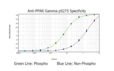 ELISA: PPAR gamma/NR1C3 [p Ser273] Antibody [NBP2-44159]